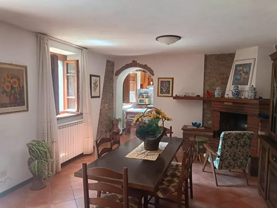 Immagine 2 di Casa indipendente in vendita  a Vagli Sotto