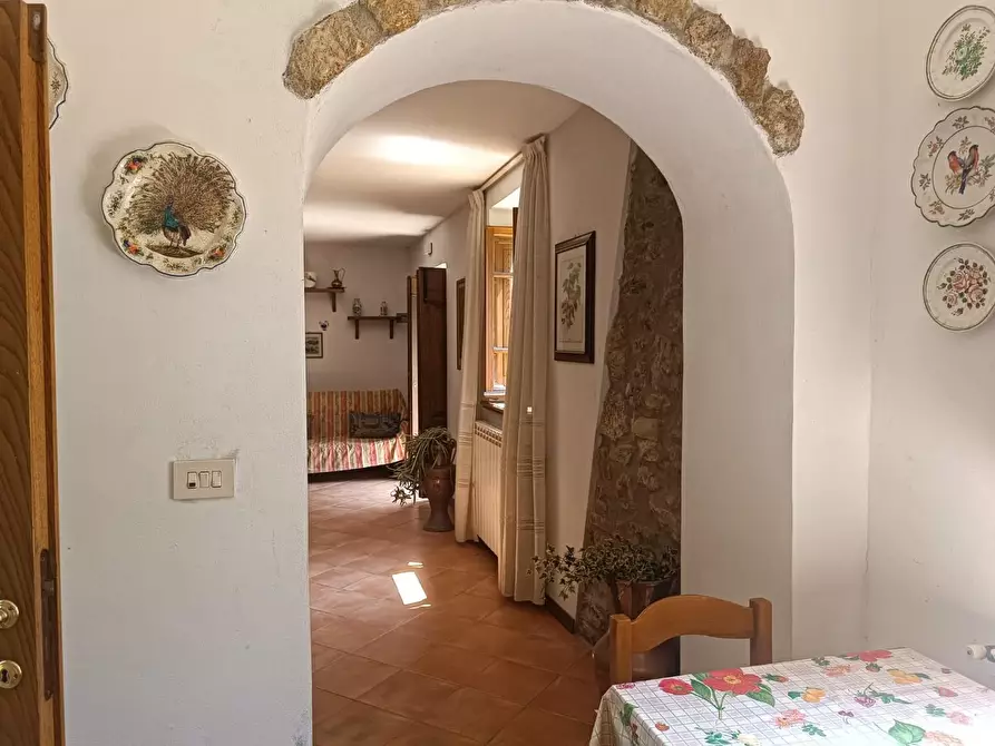 Immagine 9 di Casa indipendente in vendita  a Vagli Sotto