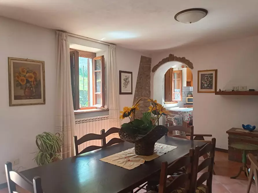 Immagine 4 di Casa indipendente in vendita  a Vagli Sotto