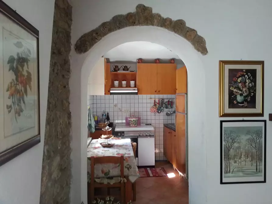 Immagine 7 di Casa indipendente in vendita  a Vagli Sotto