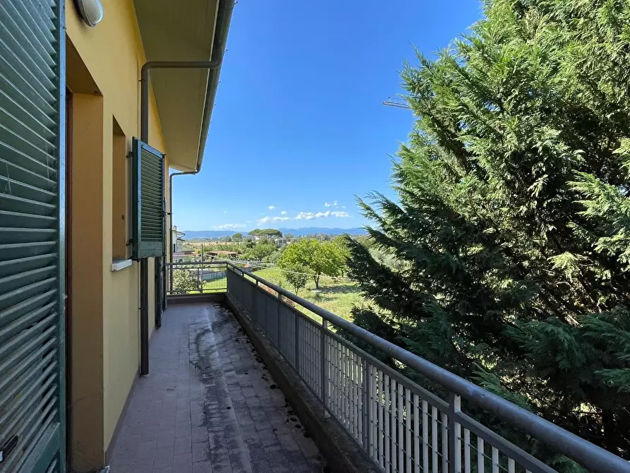 Immagine 16 di Appartamento in vendita  a San Miniato