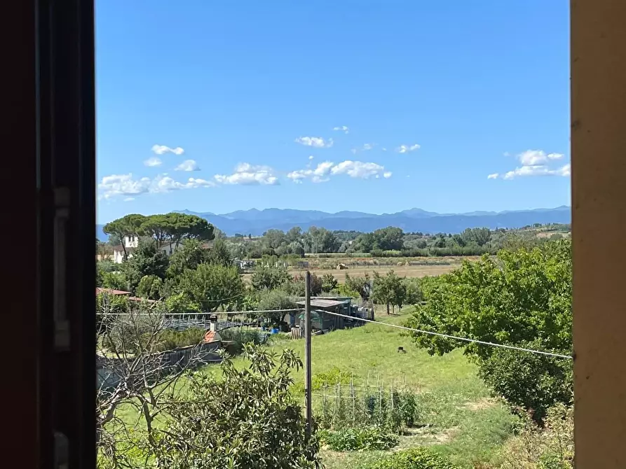 Immagine 11 di Appartamento in vendita  a San Miniato