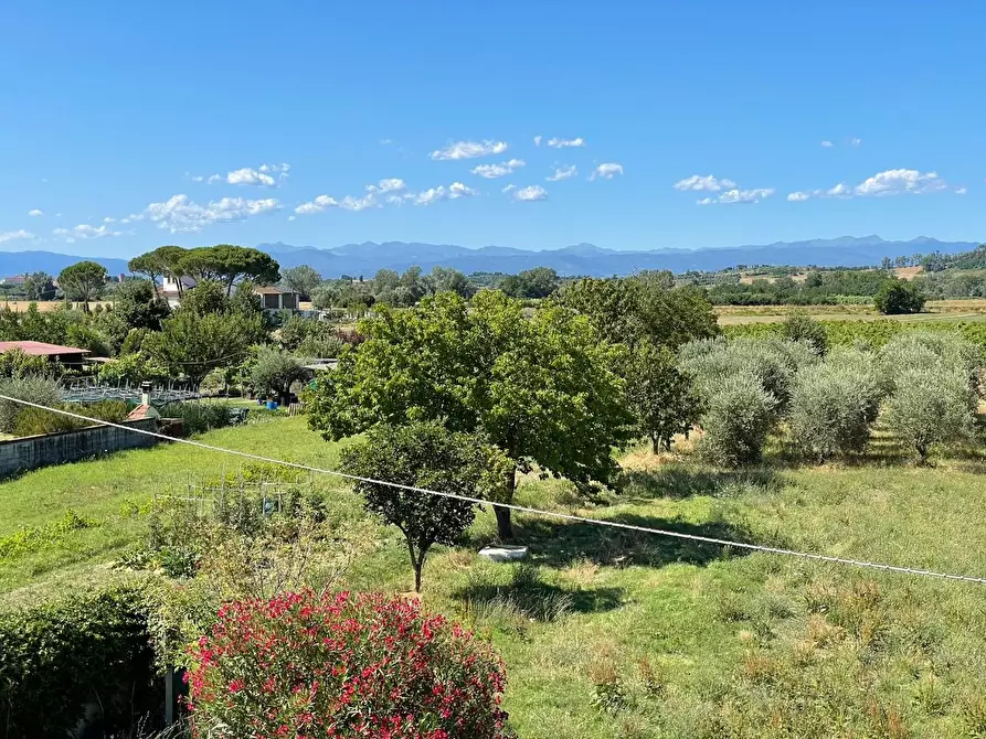 Immagine 4 di Appartamento in vendita  a San Miniato