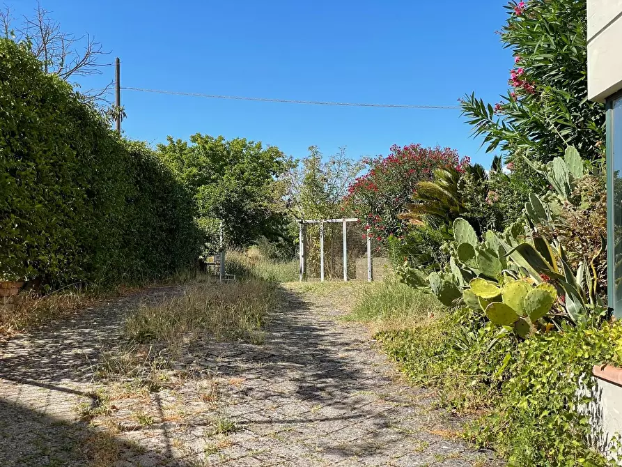 Immagine 25 di Appartamento in vendita  a San Miniato