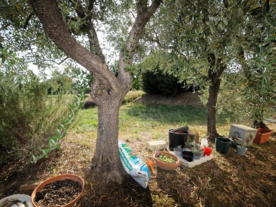 Immagine 22 di Appartamento in vendita  a Capannori