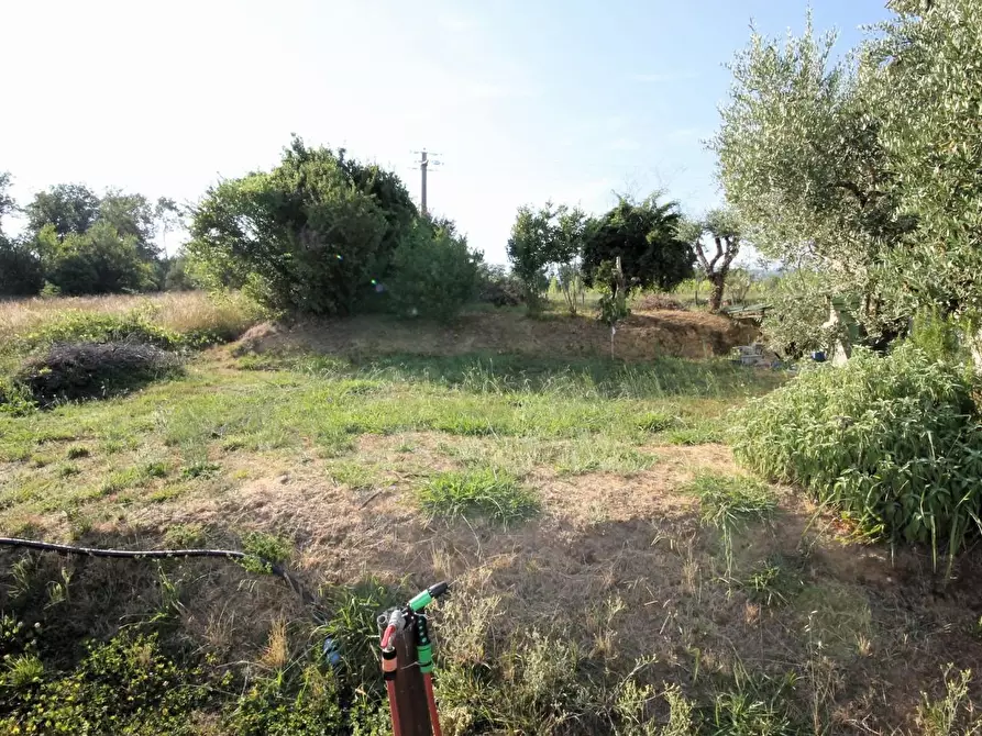 Immagine 23 di Appartamento in vendita  a Capannori