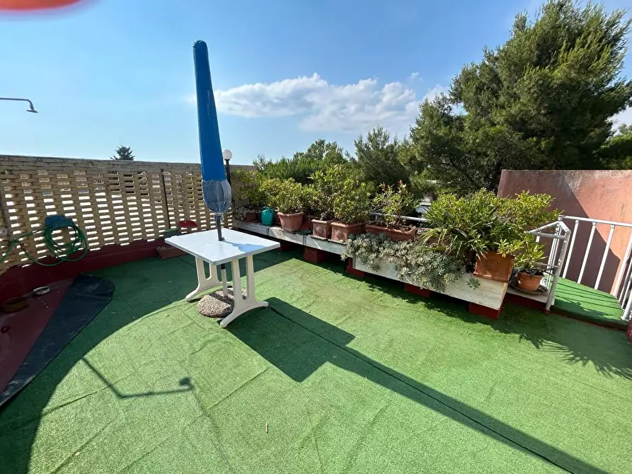 Immagine 15 di Appartamento in vendita  a Bibbona