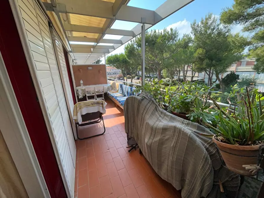 Immagine 18 di Appartamento in vendita  a Bibbona