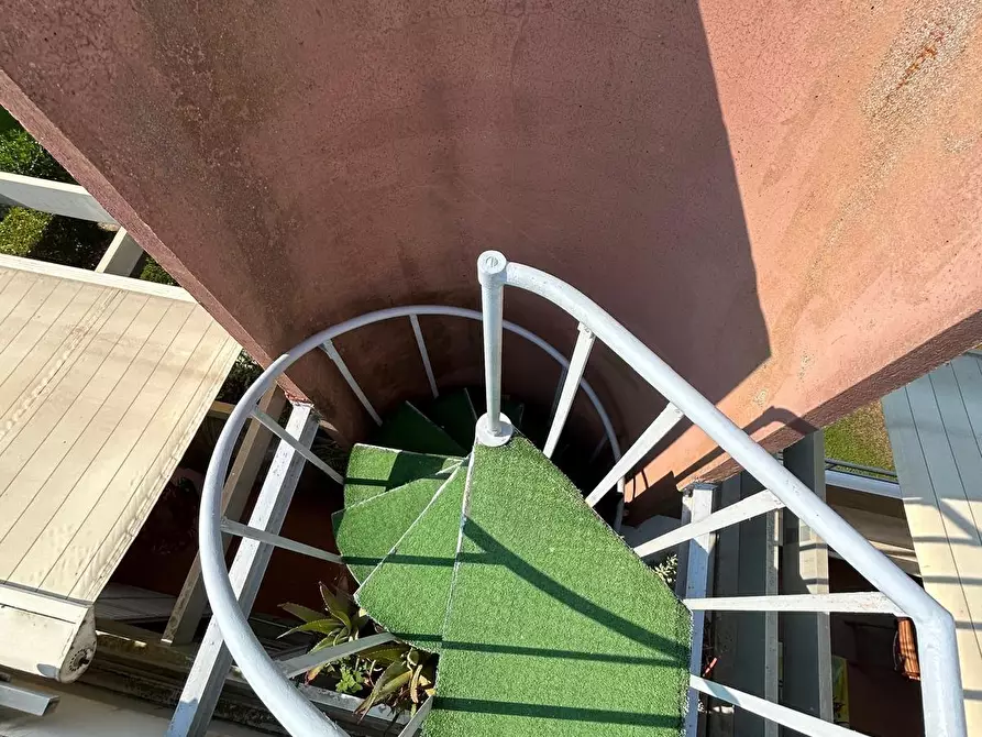 Immagine 16 di Appartamento in vendita  a Bibbona