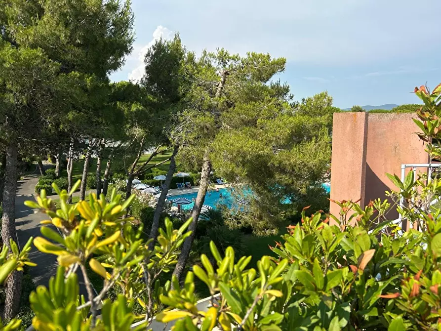 Immagine 14 di Appartamento in vendita  a Bibbona