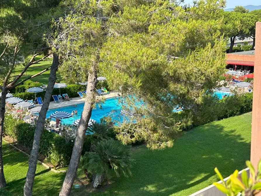 Immagine 13 di Appartamento in vendita  a Bibbona