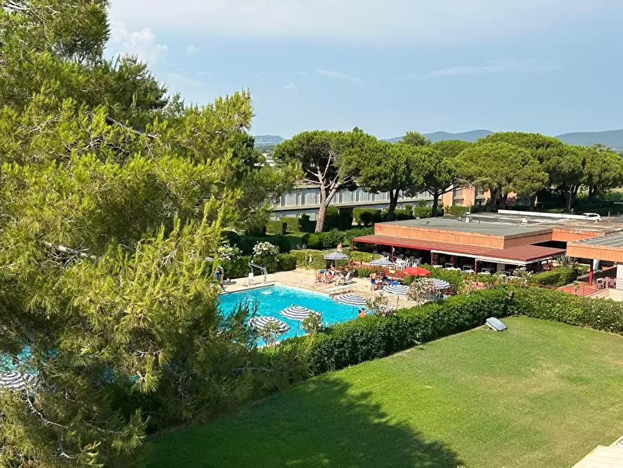 Immagine 17 di Appartamento in vendita  a Bibbona