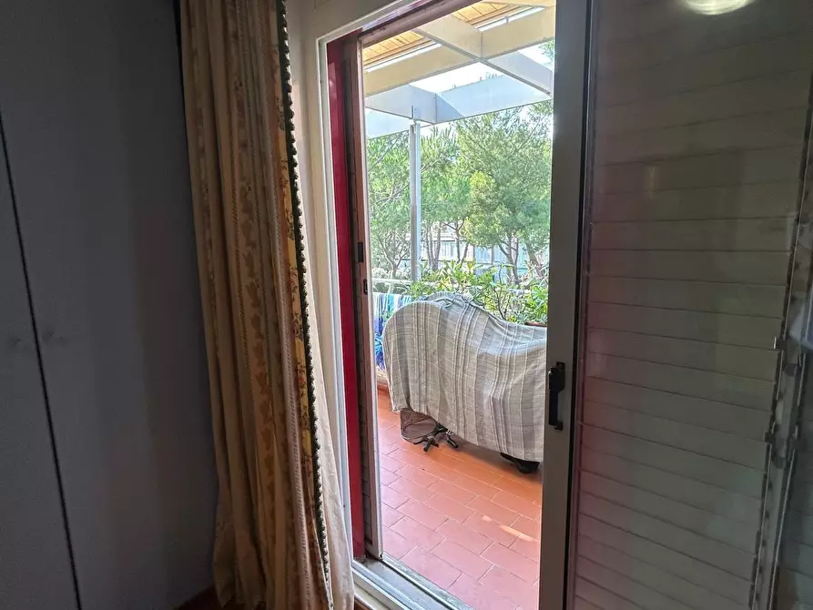 Immagine 6 di Appartamento in vendita  a Bibbona