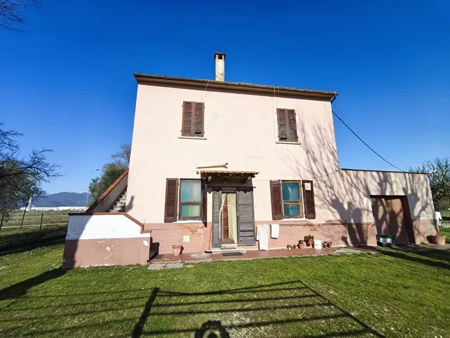 Immagine 4 di Casa colonica in vendita  a Pontedera