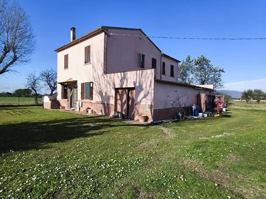 Immagine 6 di Casa colonica in vendita  a Pontedera