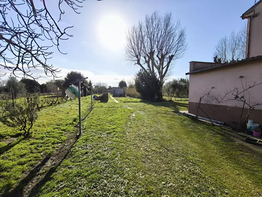 Immagine 3 di Casa colonica in vendita  a Pontedera