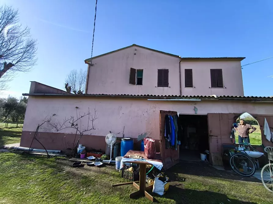 Immagine 5 di Casa colonica in vendita  a Pontedera