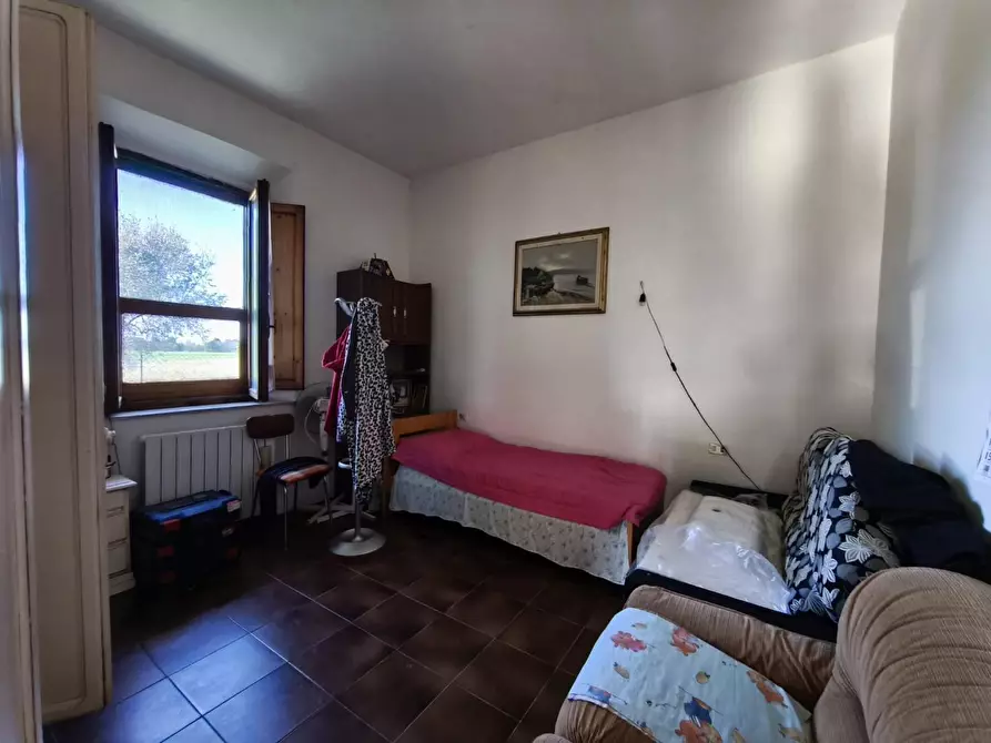 Immagine 17 di Casa colonica in vendita  a Pontedera