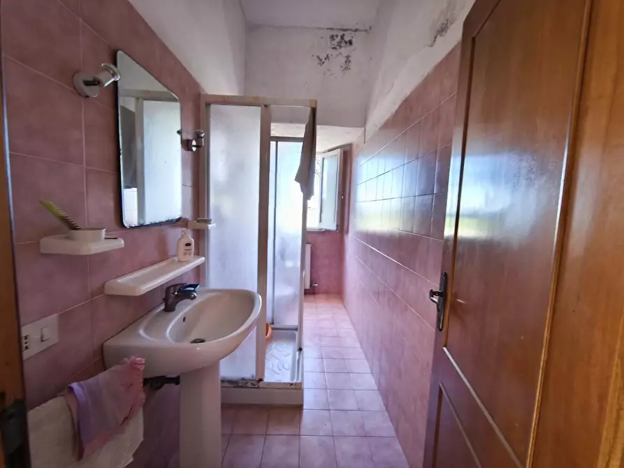 Immagine 14 di Casa colonica in vendita  a Pontedera