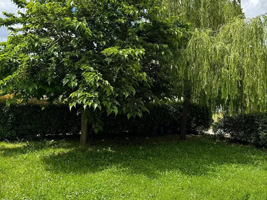 Immagine 26 di Villa in affitto  a Capannori