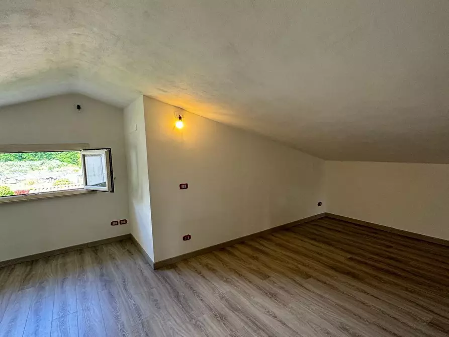 Immagine 12 di Villa in affitto  a Capannori