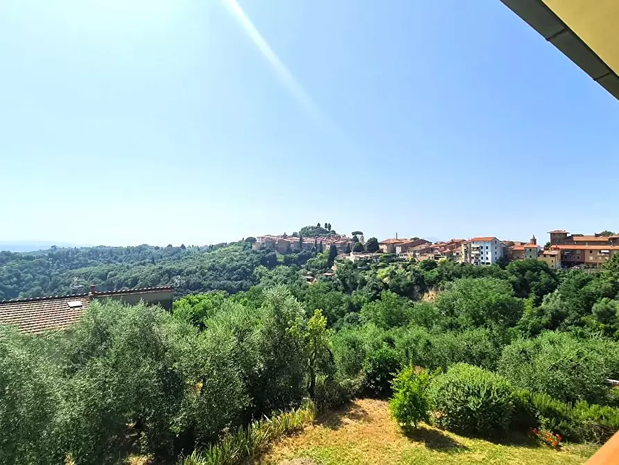 Immagine 12 di Terratetto in vendita  a Palaia