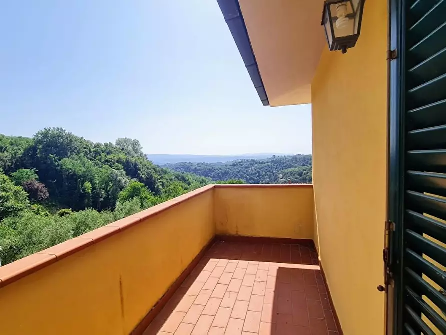 Immagine 13 di Terratetto in vendita  a Palaia