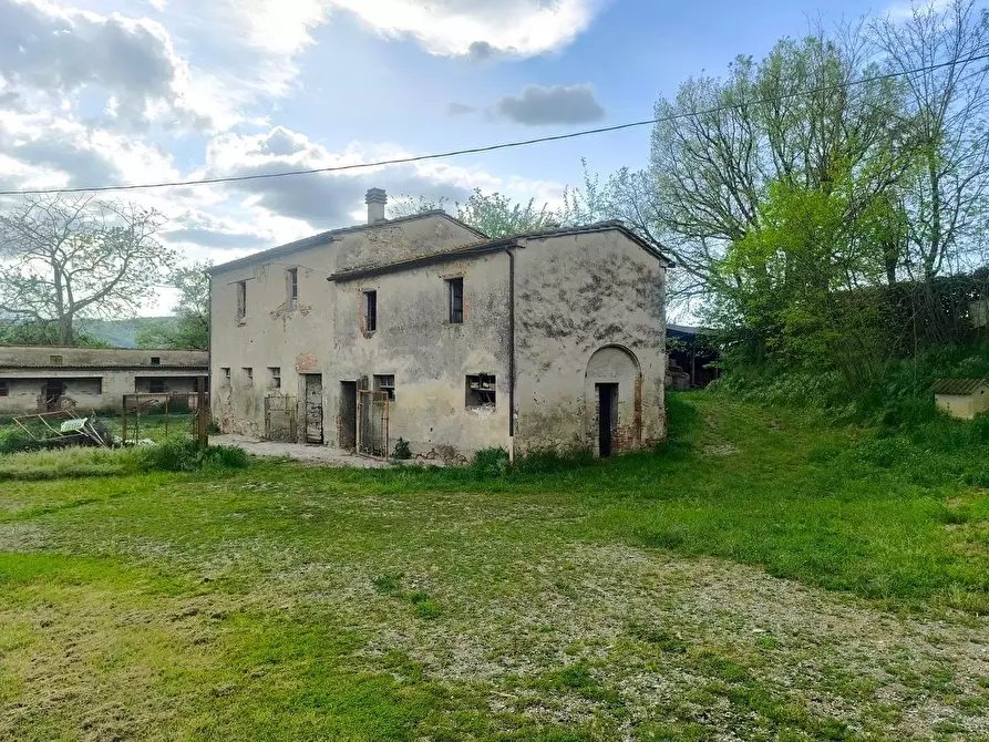 Immagine 1 di Casa colonica in vendita  a Lucignano