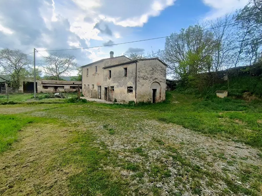 Immagine 22 di Casa colonica in vendita  a Lucignano