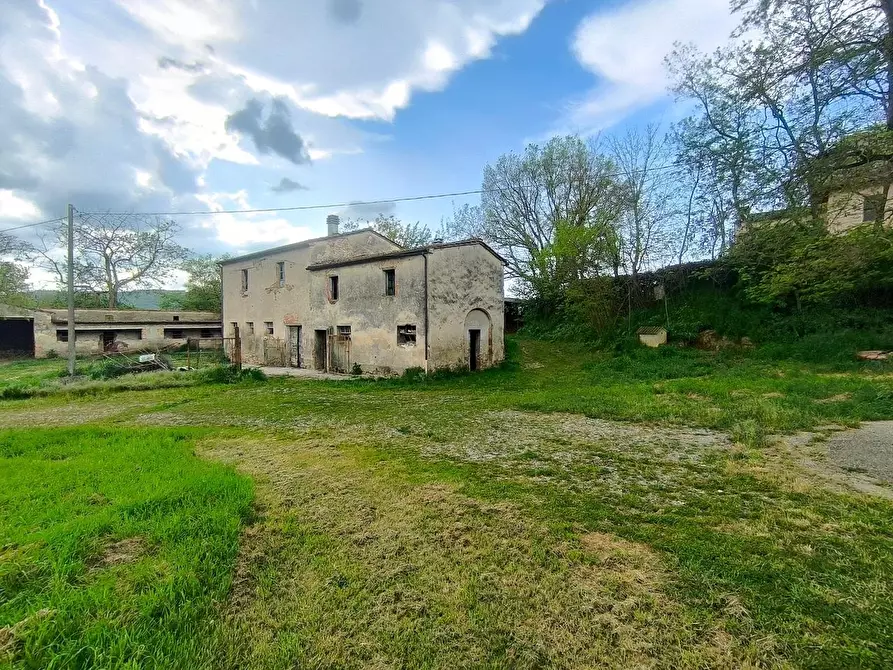 Immagine 24 di Casa colonica in vendita  a Lucignano