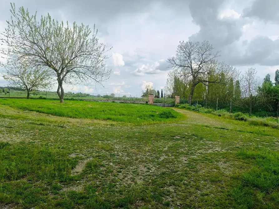 Immagine 55 di Casa colonica in vendita  a Lucignano