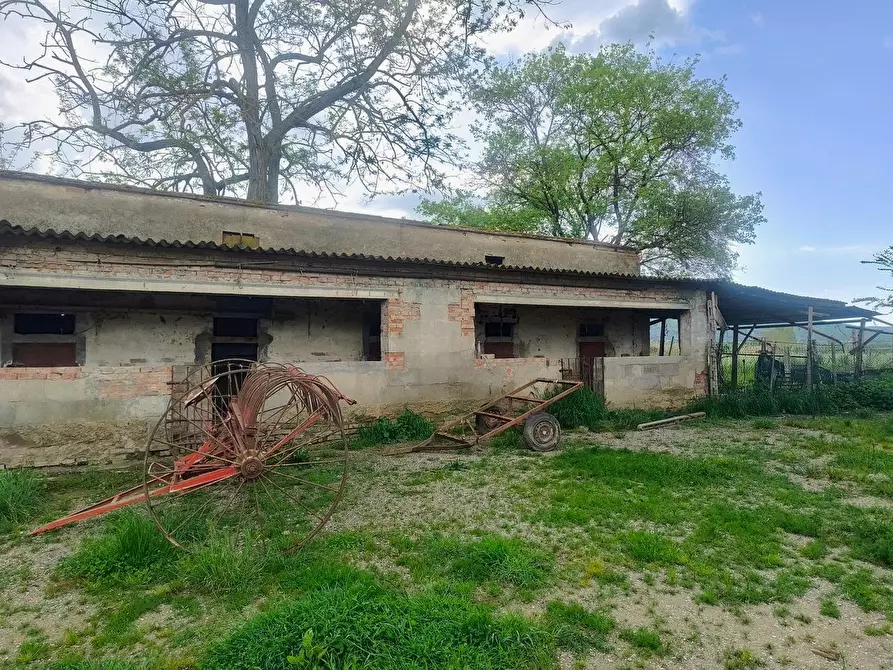 Immagine 7 di Casa colonica in vendita  a Lucignano