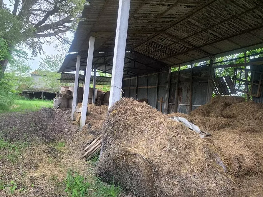 Immagine 18 di Casa colonica in vendita  a Lucignano