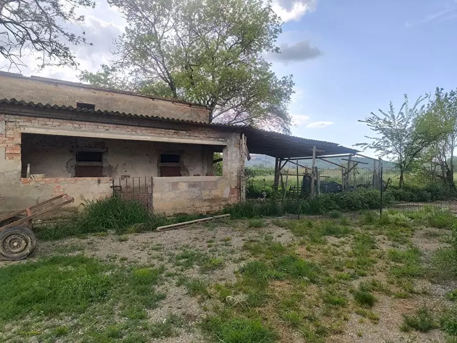 Immagine 2 di Casa colonica in vendita  a Lucignano