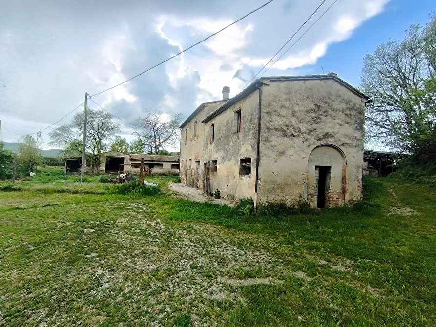 Immagine 21 di Casa colonica in vendita  a Lucignano