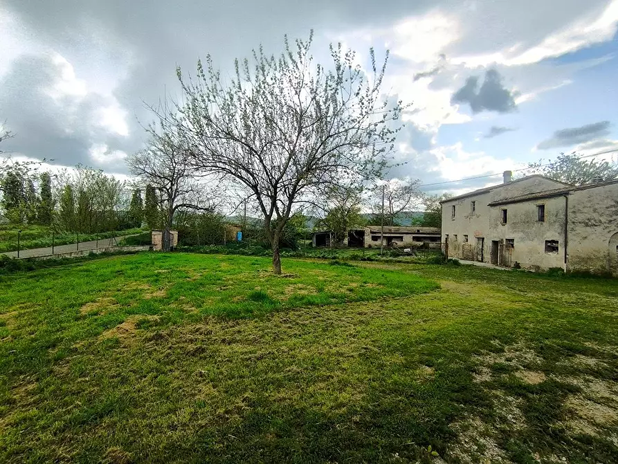 Immagine 26 di Casa colonica in vendita  a Lucignano