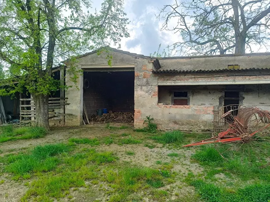 Immagine 8 di Casa colonica in vendita  a Lucignano