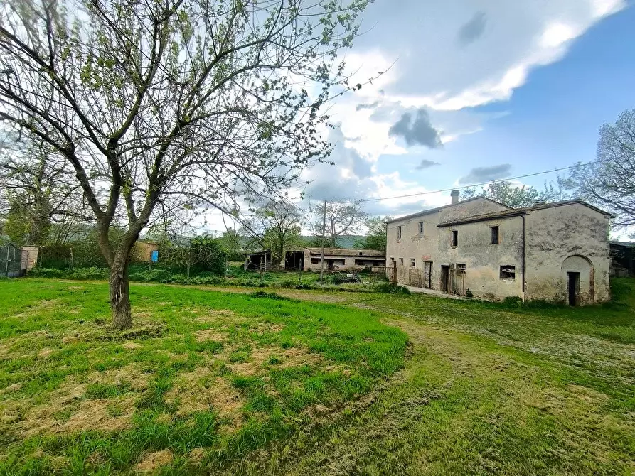 Immagine 25 di Casa colonica in vendita  a Lucignano