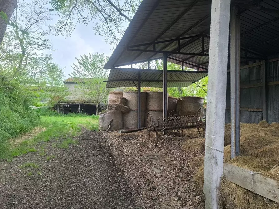 Immagine 17 di Casa colonica in vendita  a Lucignano