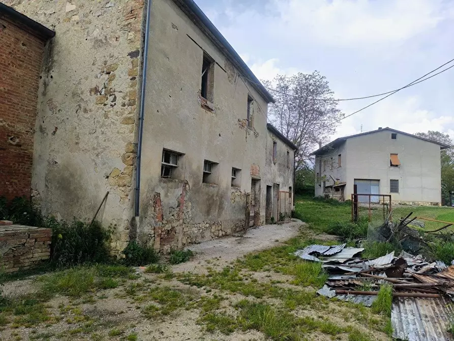 Immagine 5 di Casa colonica in vendita  a Lucignano