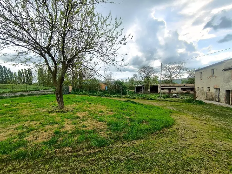 Immagine 23 di Casa colonica in vendita  a Lucignano
