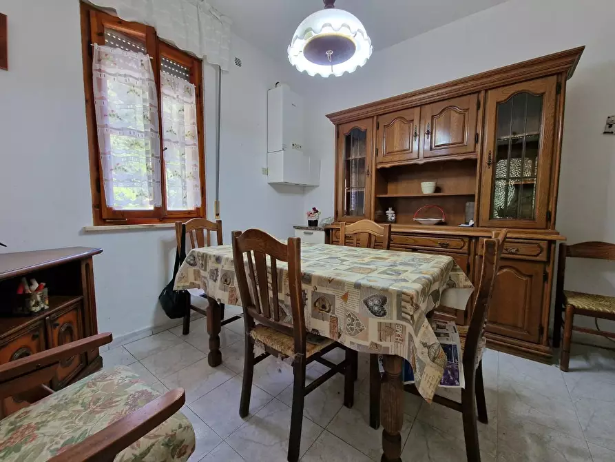 Immagine 14 di Appartamento in vendita  a Crespina Lorenzana