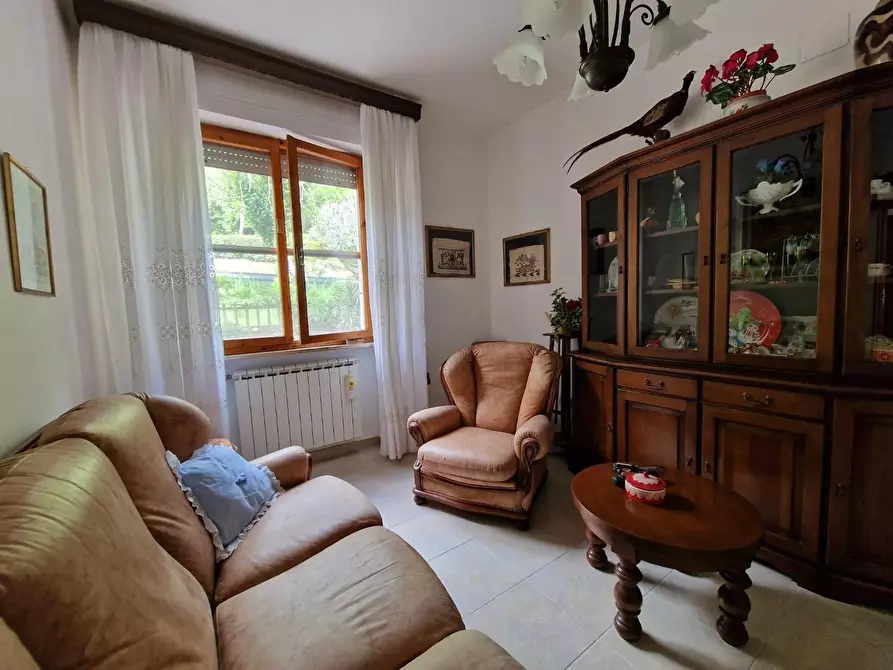 Immagine 15 di Appartamento in vendita  a Crespina Lorenzana