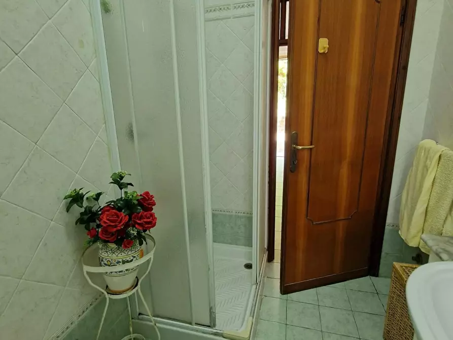 Immagine 23 di Appartamento in vendita  a Crespina Lorenzana