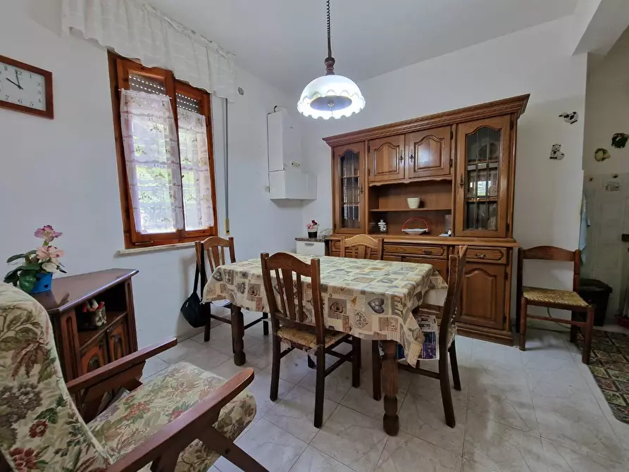 Immagine 13 di Appartamento in vendita  a Crespina Lorenzana