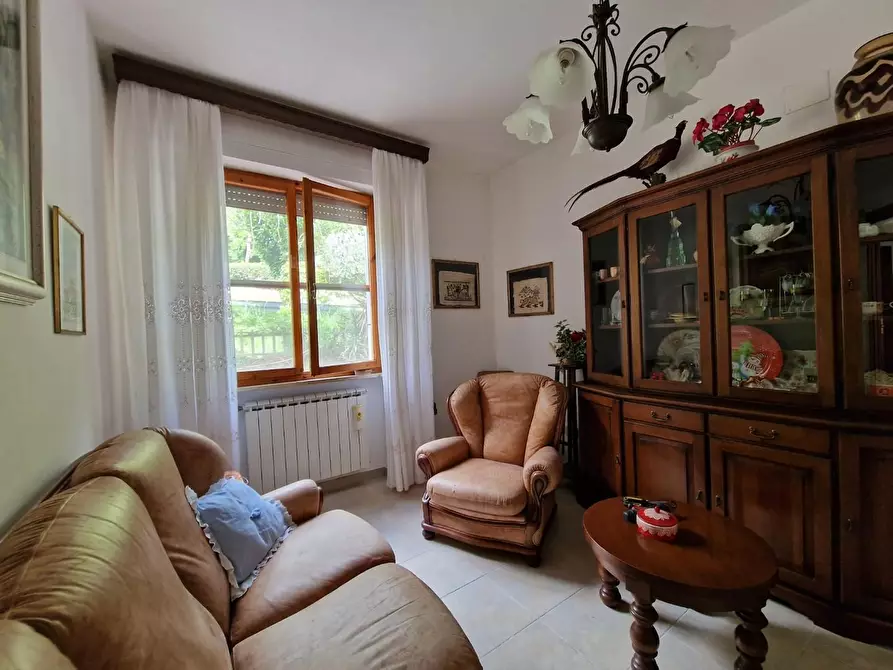 Immagine 18 di Appartamento in vendita  a Crespina Lorenzana