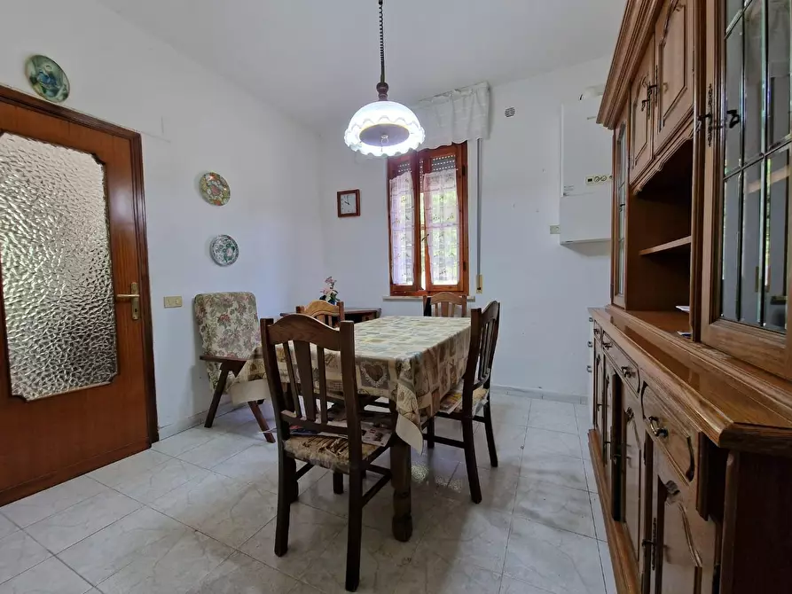 Immagine 12 di Appartamento in vendita  a Crespina Lorenzana