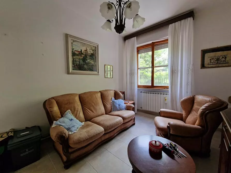 Immagine 16 di Appartamento in vendita  a Crespina Lorenzana