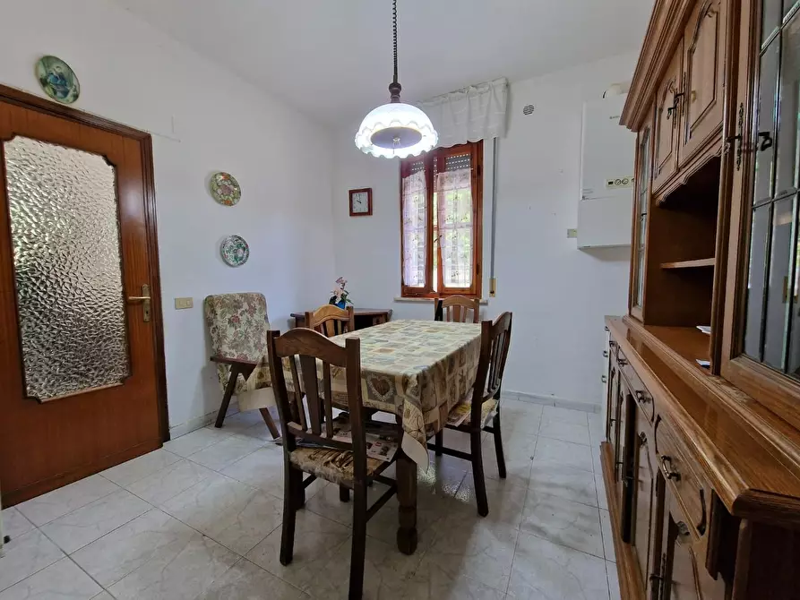 Immagine 11 di Appartamento in vendita  a Crespina Lorenzana