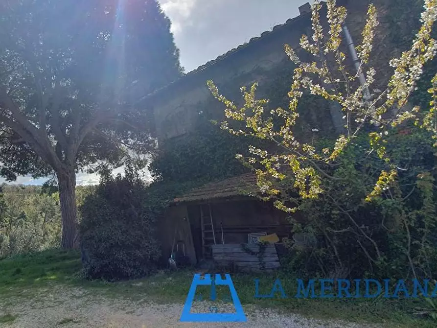 Immagine 47 di Casa colonica in vendita  a Lamporecchio